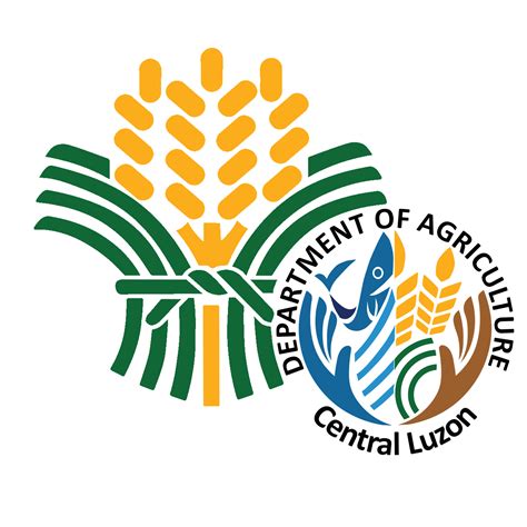 Corn Program | DA-Regional Field Office III