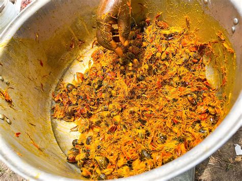 Itsekiri Foods: Banga, Starch, Owo, and Garri