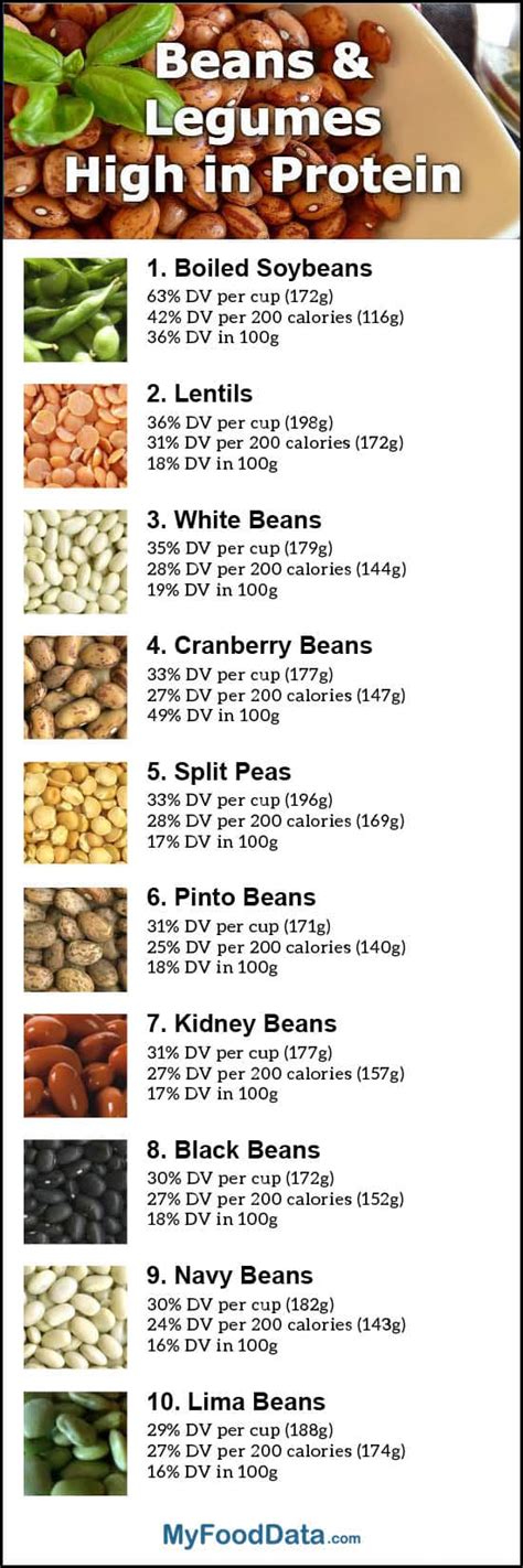 How Many Calories In A Cup Of Beans | Examples and Forms