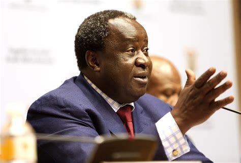 Finance minister Tito Mboweni's budget speech in five telling quotes