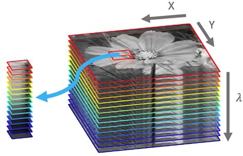 Paciencia Festival absceso hyperspectral imaging sensor recuperar Allí ...