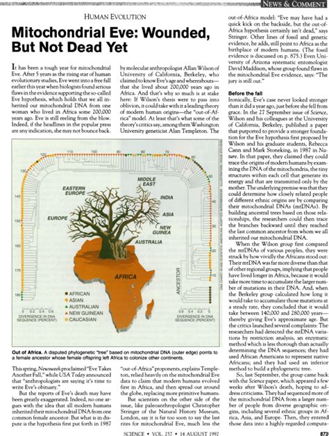 Mitochondrial Eve Reconstruction