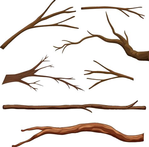 Set of different tree branches isolated 19864173 Vector Art at Vecteezy