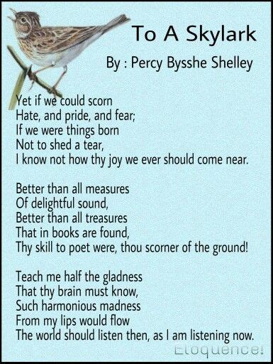 Wordsworth and Shelley as Romantic poets - UNSPOTTED