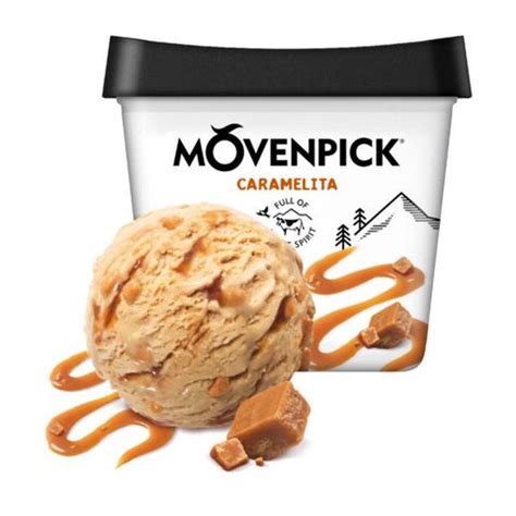 Buy Wholesale Hungary Wholesale Price Top Quality Movenpick Classics Vanilla Dream Ice Cream ...