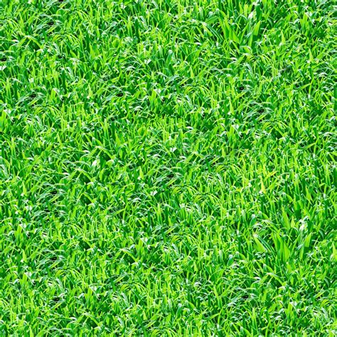 Green grass seamless pattern. — Stock Photo © Leonardi #1103118