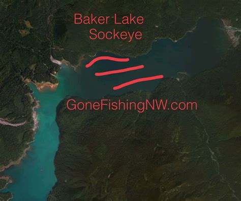 Sockeye Map – Baker Lake – Gone Fishing Northwest