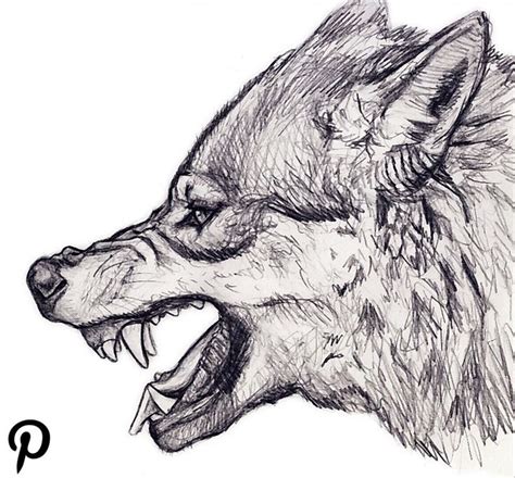 Growling wolf … #growling_wolf_tattoo in 2019 | Wolf, Animals, Moose art