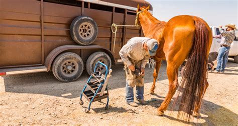 The Artwork of Staying a Farrier - Clear Publicist