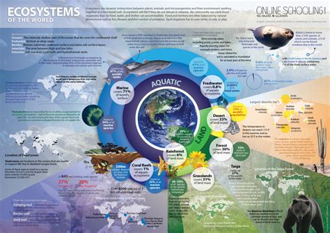 Where do you fit into Earth’s Ecosystems? (Even the Ones You’ve Never Seen with Your Own Two ...