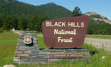 Black Hills National Forest, South Dakota - AllTrips