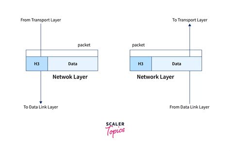 Difference between Transport Layer and Network Layer - Scaler Topics