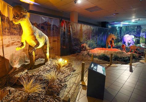 Photo gallery: Animatronic Dinosaur Exhibit at Quintard Mall | Slideshows | annistonstar.com