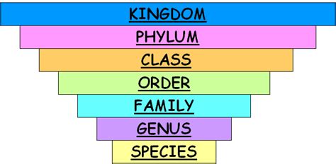 Classification of living organisms - Online Science Notes