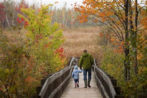 kid friendly hiking trails near me with waterfalls - Dee Oldham