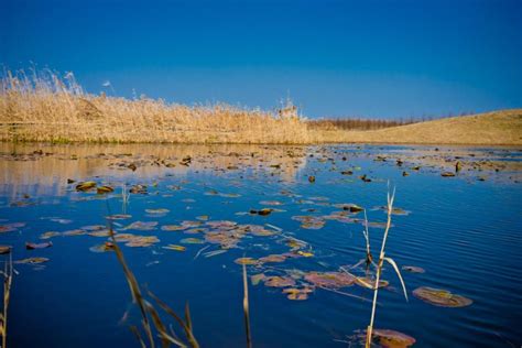 Dongtan Wetland Park travel guidebook –must visit attractions in ...