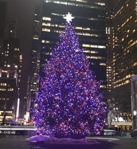 Bryant Park Christmas Tree 2024 - Sonja Eleonore