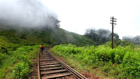 Trekking Tours in Horton Plains | Trekking in Horton Plains | Trekking Trips in Horton Plains ...