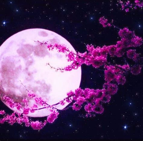 PINK SUPER MOON | Pink moon wallpaper, Night sky wallpaper, Moon ...