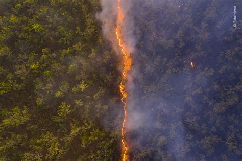 Bushfire | Wildlife Photographer of the Year | Natural History Museum