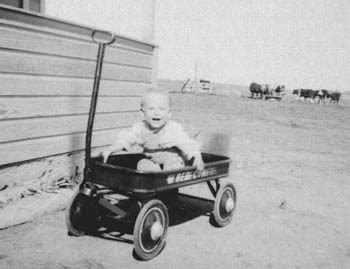 Vintage Radio Flyer Wagon / Sales & parts / Red Flyer Wagons