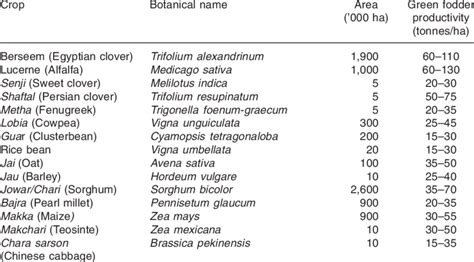 Fodder Crops List