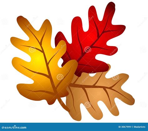 Autumn Oak Tree Leaves Clipart Stock Illustration - Illustration of isolated, brown: 3067999