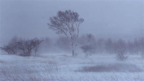 Ice Storm Wallpaper - WallpaperSafari