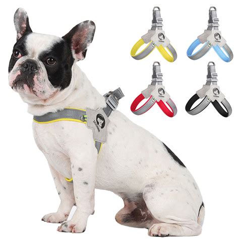 French bulldog Harness – frenchie Shop