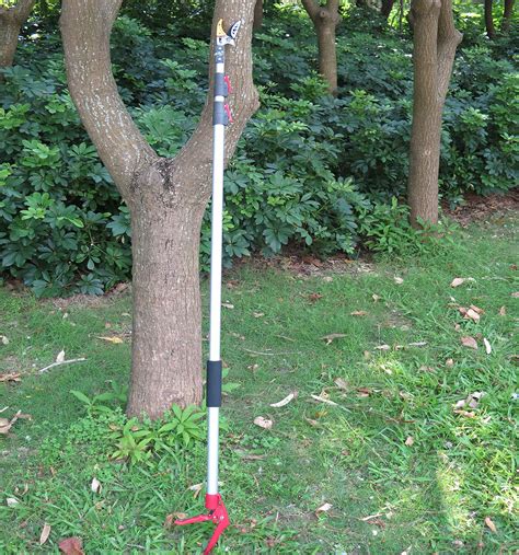 Mesoga 5.6-13 Foot Extendable Tree Pruner, Cut and Hold Pruning Trimmer ...