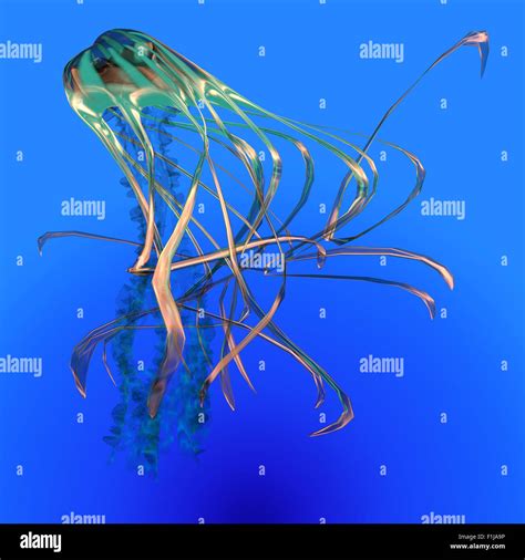 The Jellyfish is a transparent gelatinous predator that uses its ...