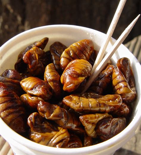 Beondegi - silkworm pupae | south korean street food. tasted… | Flickr