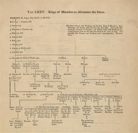 Alexander The Great Family Tree