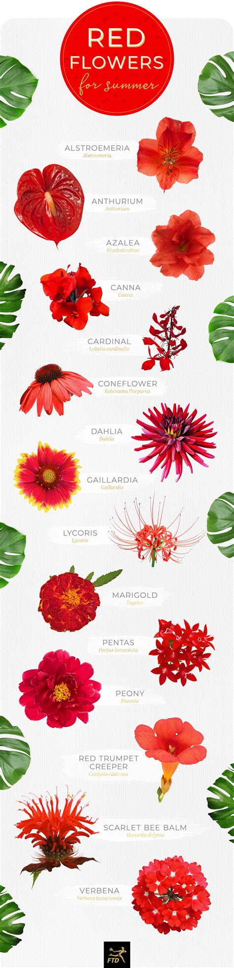 40 Types of Red Flowers - FTD.com | Red flower names, Types of flowers ...