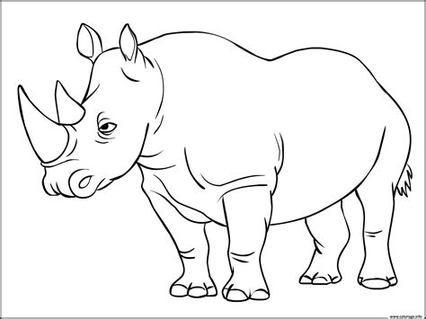 Coloriage rhinoceros mammiferes appartenant a la famille des rhinocerotides - JeColorie.com