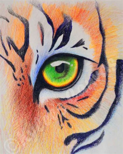 Tiger Eye - colored pencil on paper | Drawings, Colored pencils, Art