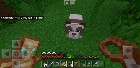 Natural baby brown panda woah : r/Minecraft