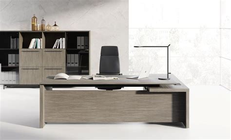 Business CINQUE Minimalist CEO Office Furniture