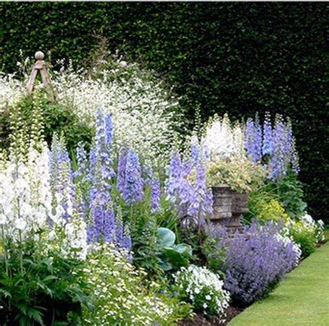 White Plants Garden Ideas 180 | Garden design images, White plants, Cottage garden design