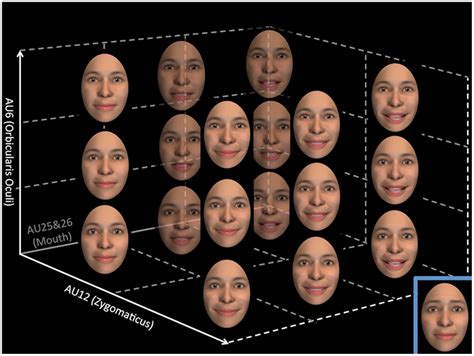 Representation of the apex of the 18 different types of smiles, which ...