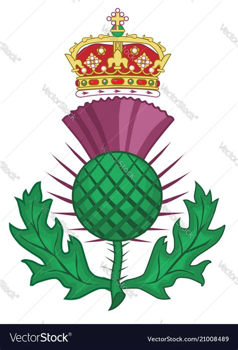 Thistle symbol scotland Royalty Free Vector Image