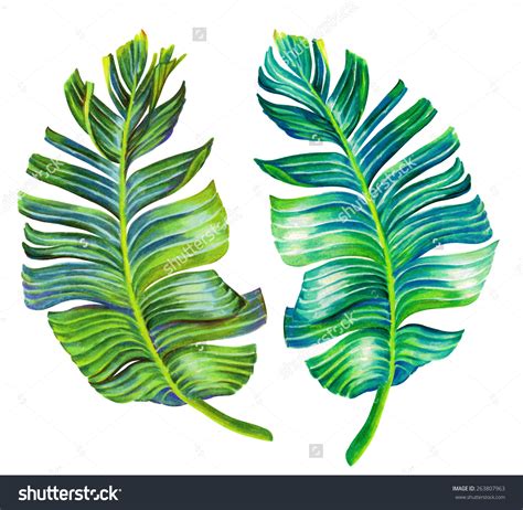 Palm Tree Leaves Drawing at GetDrawings | Free download