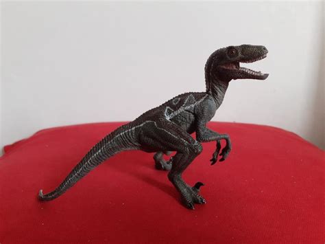 Velociraptor Dinosaur Figure (Papo France), Hobbies & Toys, Toys & Games on Carousell