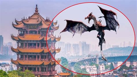 Download 5 REAL CHINESE DRAGON CAUGHT ON CAMERA & SPOTTED IN REAL LIFE ...