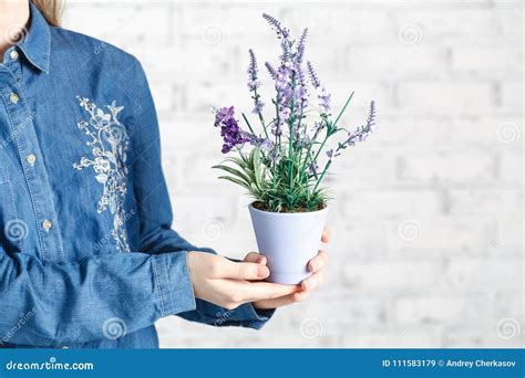 Young Woman Cultivating Home Plants Stock Image - Image of growth, holding: 111583179