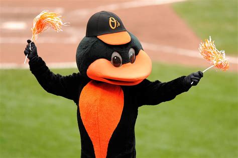 5 Questions with Orioles' Expert Stacey Long - MLB Daily Dish