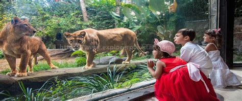 Lahore Zoo Safari Park - Contact Number for The Booking and Timings