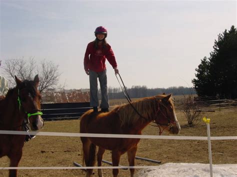 Some of our horses & their stories...