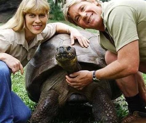 Account Suspended | Steve irwin, Crocodile hunter, Galapagos tortoise