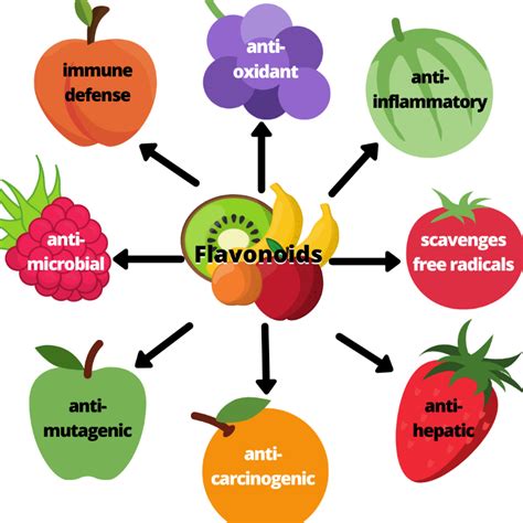 Flavonoids: Sources, Functions, And Benefits, 48% OFF